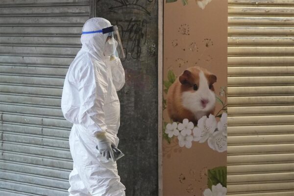 הונג-קונג: עובד בחנות חיות אובחן עם קורונה, 3,000 בעלי חיים יומתו בחשד להידבקות